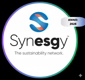 Synesgy — valutazione di sostenibilità ESG, anno 2026